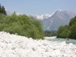 image29